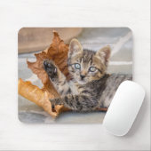 可愛いタビー遊猫の葉付き猫 マウスパッド (マウス)