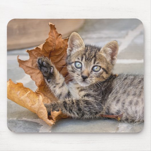 可愛いタビー遊猫の葉付き猫 マウスパッド (正面)