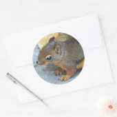 可愛いダグラス自然写真 ラウンドシール (封筒)