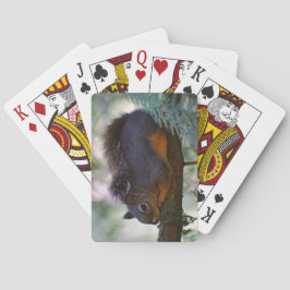 可愛いダグラス・リス野生生物写真 トランプ