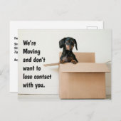 可愛いダシュントの住所変更 ポストカード (正面/裏面)