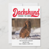 可愛いダシュント犬のクリスマス写真カスタム写真 シーズンカード (正面)