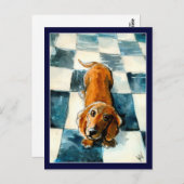 可愛いダシュント犬はがき ポストカード (正面/裏面)