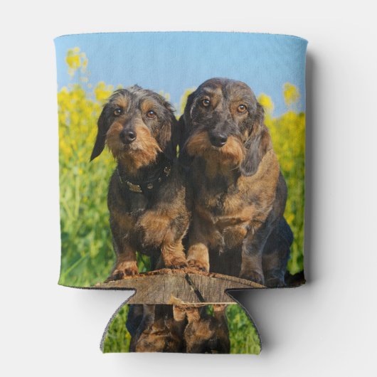 可愛いダシュント犬ダッケル写真バおもしろいドル 缶クーラー (裏面)