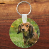 可愛いダシュント犬 キーホルダー (正面)