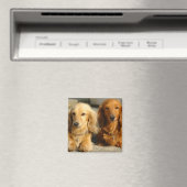 可愛いダシュント マグネット (インサイチュ (食洗機))