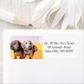 可愛いダシュンドパピー差出人住所メールシール ラベル (インサイチュ)