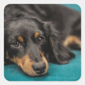 可愛いダックシュントが倒れる スクエアシール (正面)