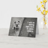 可愛いダルマチアごめんねカード カード (黄色い花)