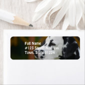 可愛いダルマチアンパピー ラベル (インサイチュ)