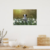 可愛いダルマチアンパピーinデイジー ポスター (キッチン)