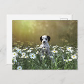 可愛いダルマチアンパピーinデイジー ポストカード (正面/裏面)