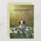 可愛いダルマチアンパピーinデイジー 招待状 (正面/裏面)