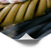 可愛いダルマチアン犬の子犬のポートレート、写真 ポスター (コーナー)