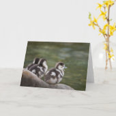 可愛いチックス自然写真 カード (黄色い花)