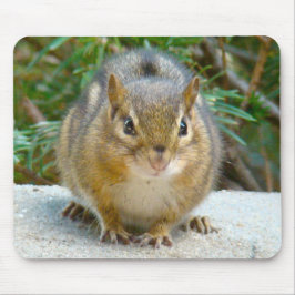 可愛いチムンクが君を見ている マウスパッド