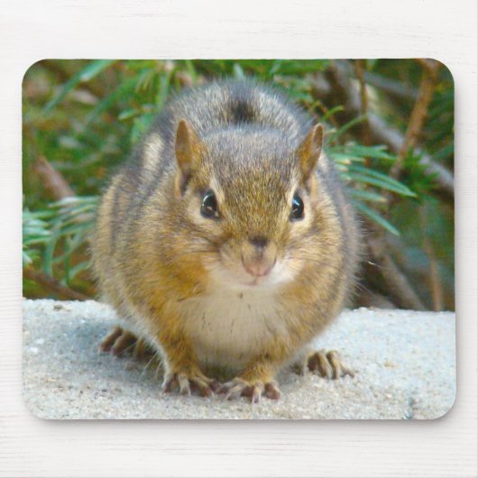 可愛いチムンクが君を見ている マウスパッド (正面)