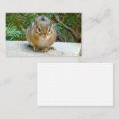 可愛いチムンクが君を見ている 名刺 (正面/裏面)