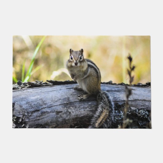 可愛いチムンクドアマット ドアマット (正面)