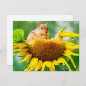 可愛いチムンク黄色ひまわり絵画の写真 ポストカード (正面/裏面)