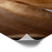 可愛いチョコレートラボピットミックスドッグポートレート5 ポスター (角)