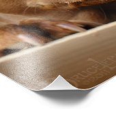 可愛いチョコレートラボミックスドッグ フォトプリント            (角)