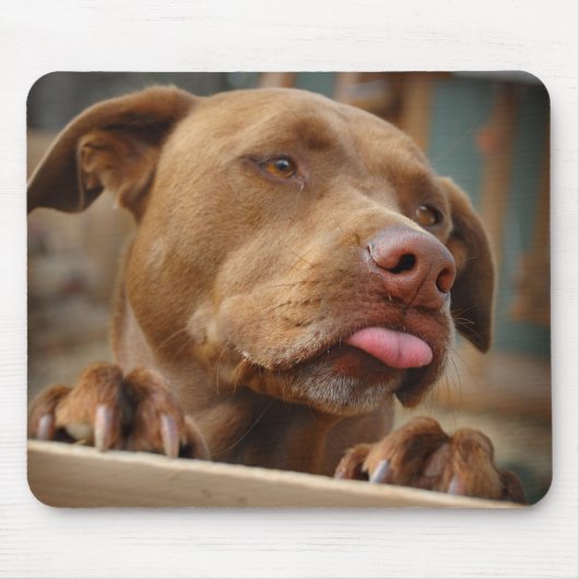 可愛いチョコレートラボミックスドッグ マウスパッド (正面)