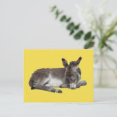 可愛いチョコレートロバベビーの花が黄色に眠る ポストカード (スタンド正面)