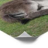 可愛いチョコレートロバベビーフォアスリープ ポスター (角)