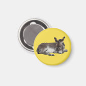 可愛いチョコレートロバベビーフォアスリープ マグネット (正面/裏面)