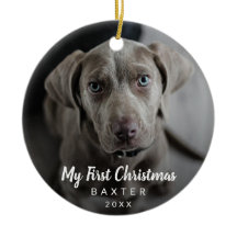 可愛いチョークスクリプトドッグフォトマイ初めてのクリスマス