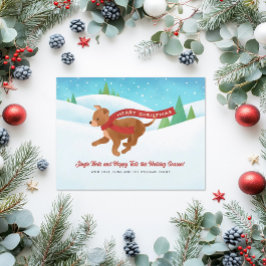 可愛いチワホアドグスノースクリスマス シーズンカード
