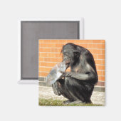 可愛いチンポ マグネット (正面/裏面)