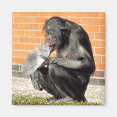 可愛いチンポ マグネット (正面)