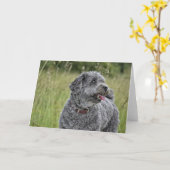 可愛いテリア犬 カード (黄色い花)