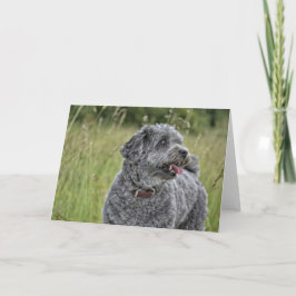 可愛いテリア犬 カード