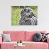可愛いテリア犬 キャンバスプリント (インサイチュ (リビング))
