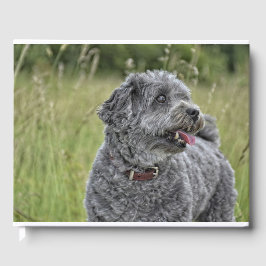 可愛いテリア犬 ゲストブック