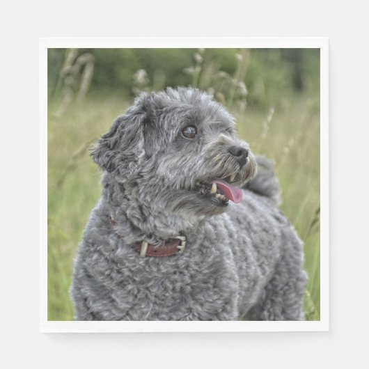 可愛いテリア犬 スタンダードランチョンナプキン (正面)