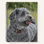 可愛いテリア犬 ノートブック (正面)