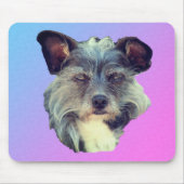 可愛いテリア犬 マウスパッド (正面)