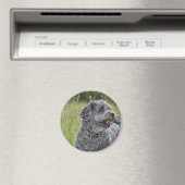 可愛いテリア犬 マグネット (インサイチュ (食洗機))