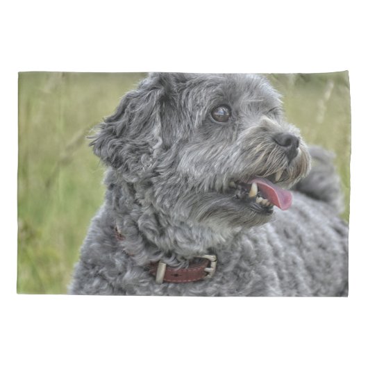 可愛いテリア犬 枕カバー (裏面)