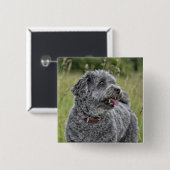 可愛いテリア犬 缶バッジ (正面&裏面)