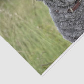 可愛いテリア犬 薄葉紙 (詳細)