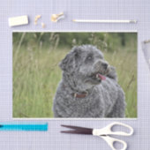 可愛いテリア犬 薄葉紙 (クラフト)