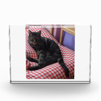 可愛いデイブアクリルフォトブロック フォトブロック