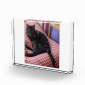 可愛いデイブアクリルフォトブロック フォトブロック (右)