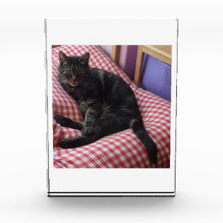 可愛いデイブアクリルフォトブロック フォトブロック