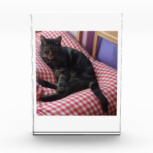 可愛いデイブアクリルフォトブロック フォトブロック (正面)